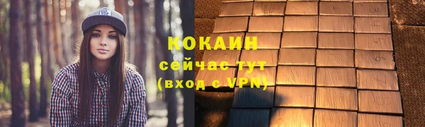 шишки Армянск
