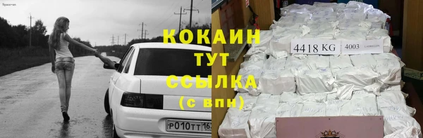 шишки Армянск