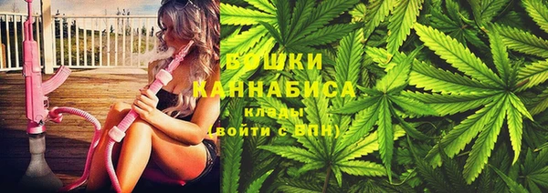 шишки Армянск