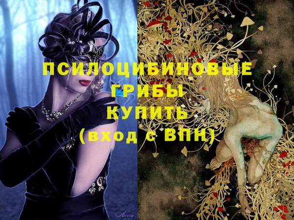 шишки Армянск