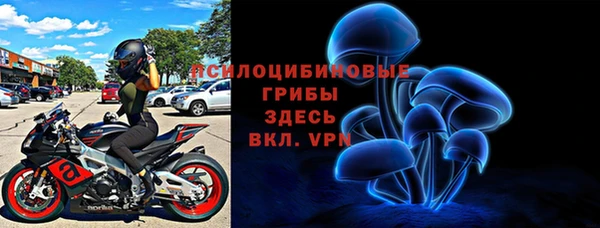 шишки Армянск