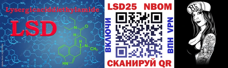 LSD-25 экстази кислота  маркетплейс телеграм  Новоузенск  сколько стоит 